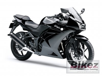 2010 Kawasaki Ninja 250R photo